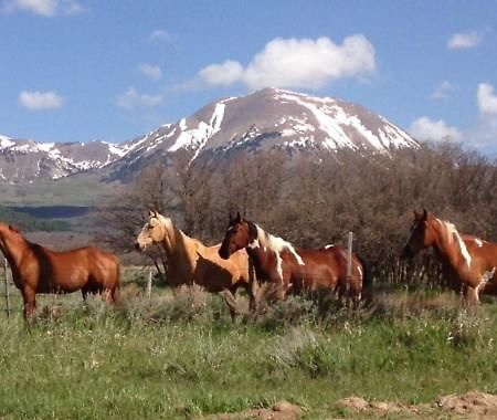 Mount Peale Country Inn La Sal Экстерьер фото