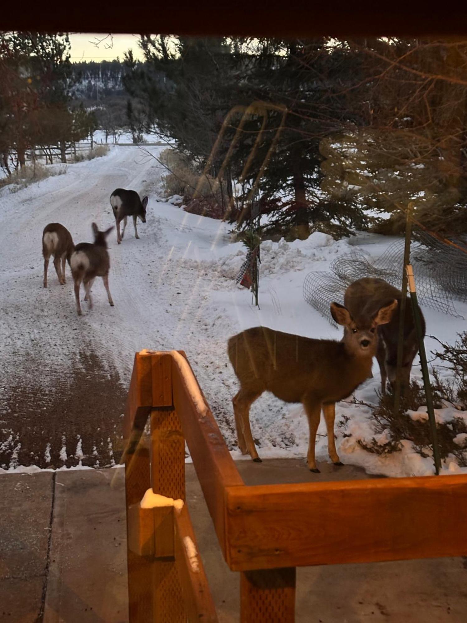 Mount Peale Country Inn La Sal Экстерьер фото
